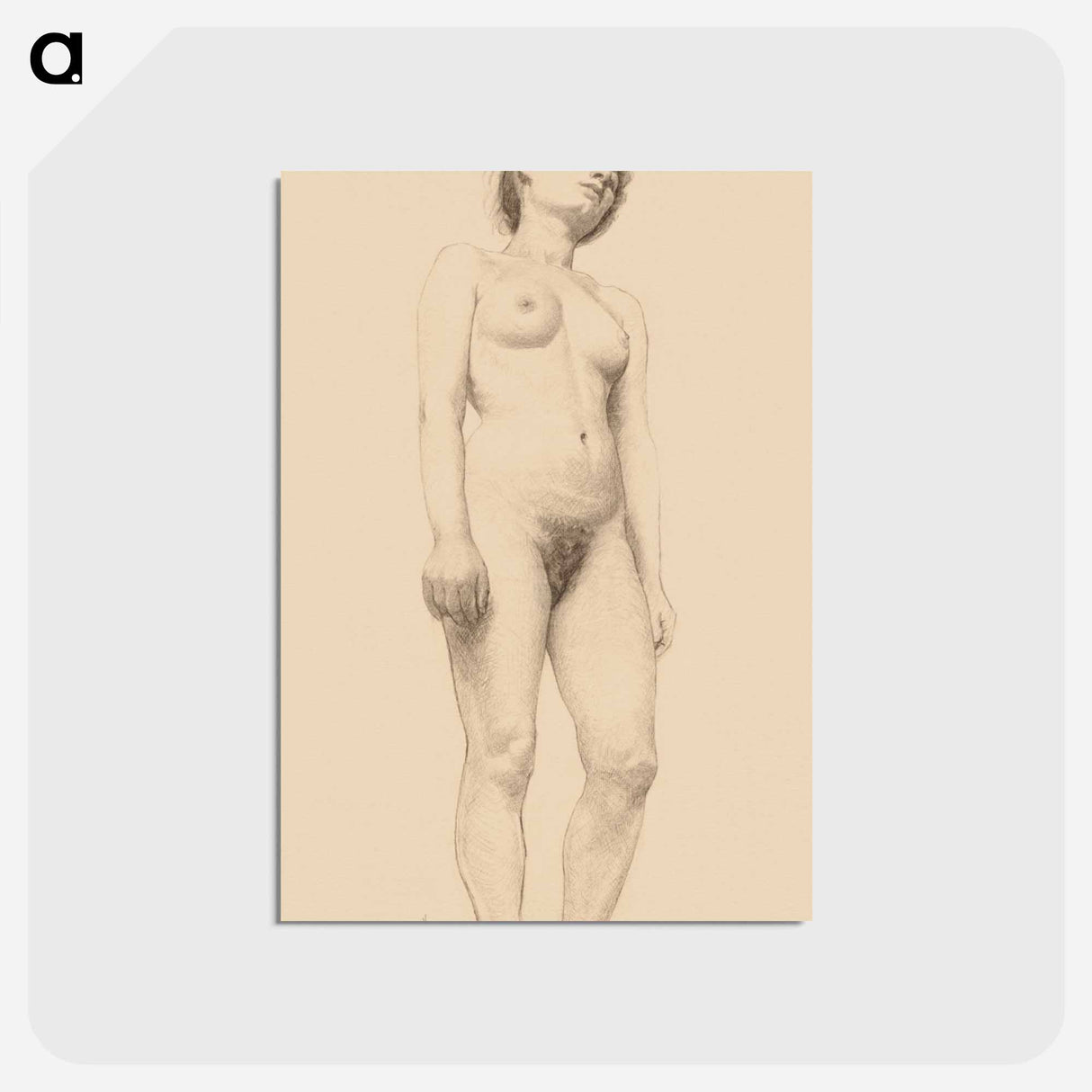 アートポストカード-Standing Female Nude
- クリーブランド美術館 Postcard.