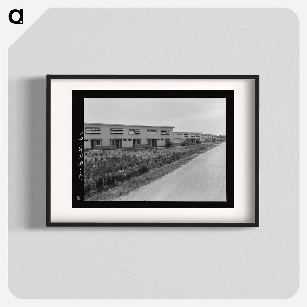 Untitled photo - Dorothea Lange Poster.