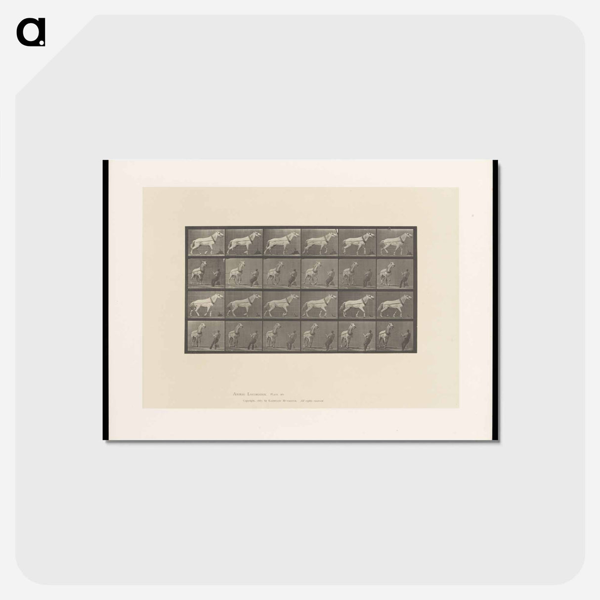 アートポストカード-Horse and Cart
- エドワード マイブリッジ Postcard.