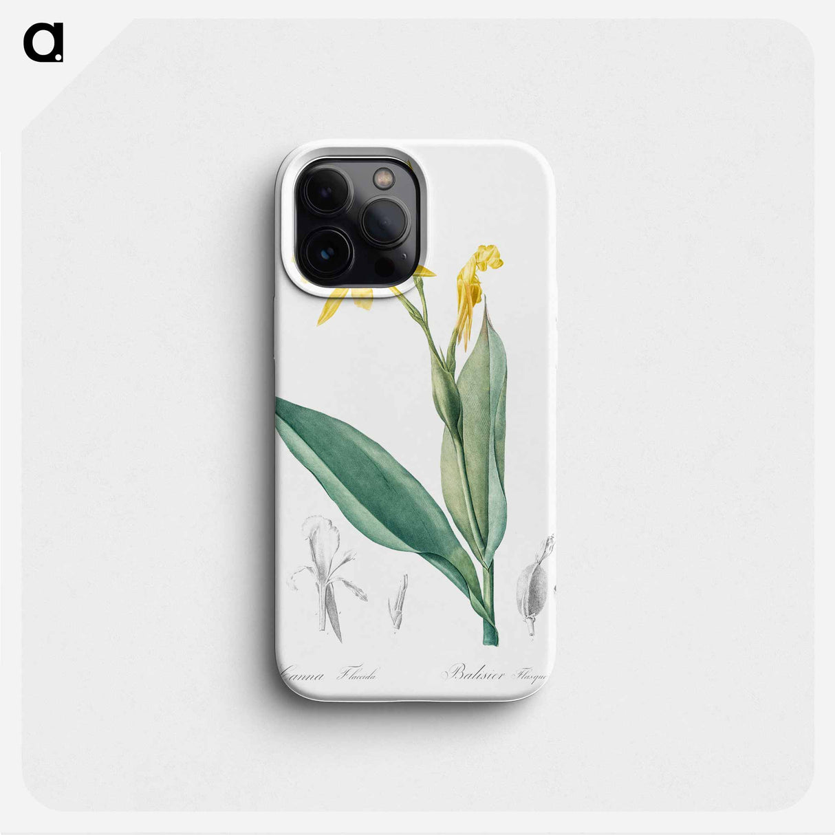 Bandana of the everglades illustration - Pierre Joseph Redouté Phone Case.