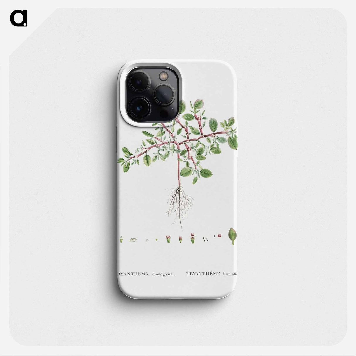 Trianthema Monogyna (Desert Horsepurslane) - Pierre Joseph Redouté Phone Case.