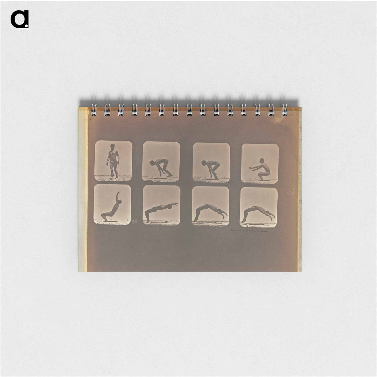 アートメモ帳-Incomplete
- エドワード マイブリッジ Memo.