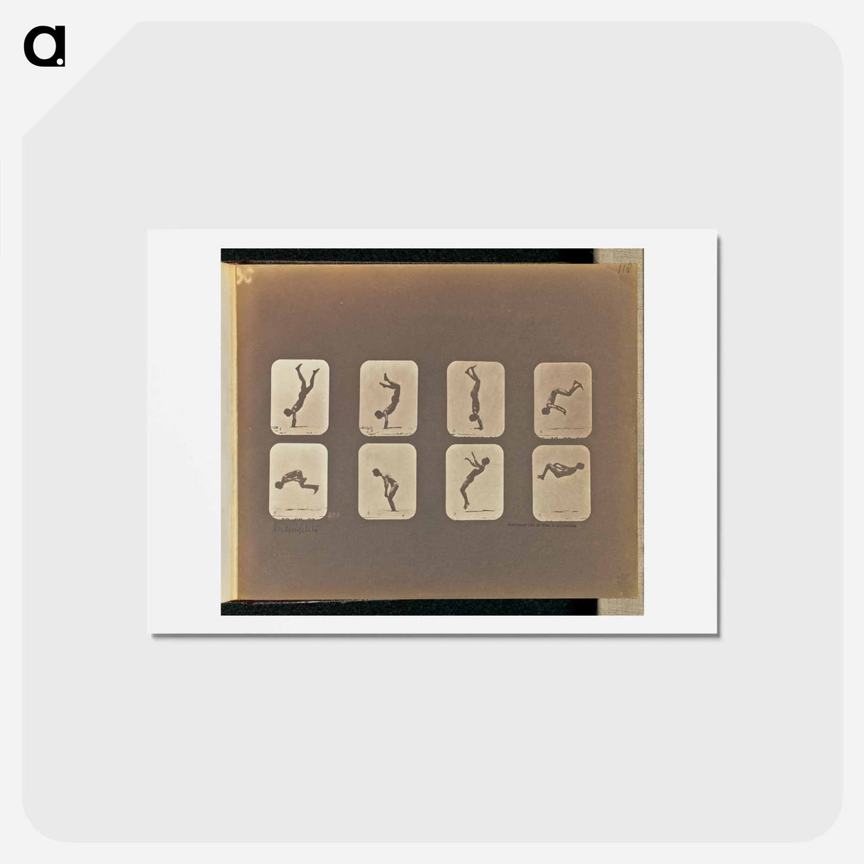 アートポストカード-Incomplete
- エドワード マイブリッジ Postcard.