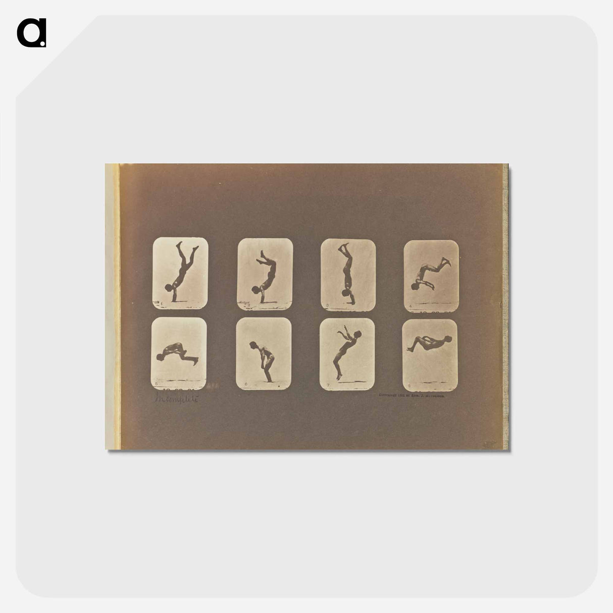 アートポストカード-Incomplete
- エドワード マイブリッジ Postcard.