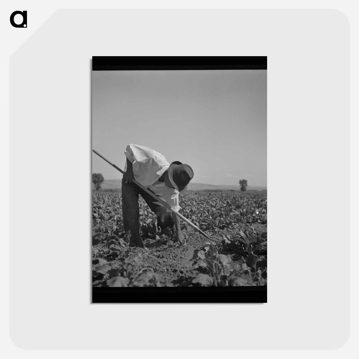 アートポストカード-Hoeing Sugar Beets
- ラッセル リー Postcard.