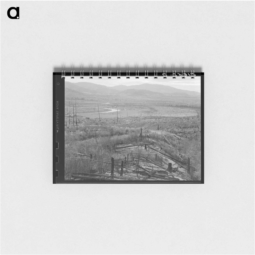 The Priest River runs through a stumpy valley where new farms are being established. - ドロテア ラング Memo.