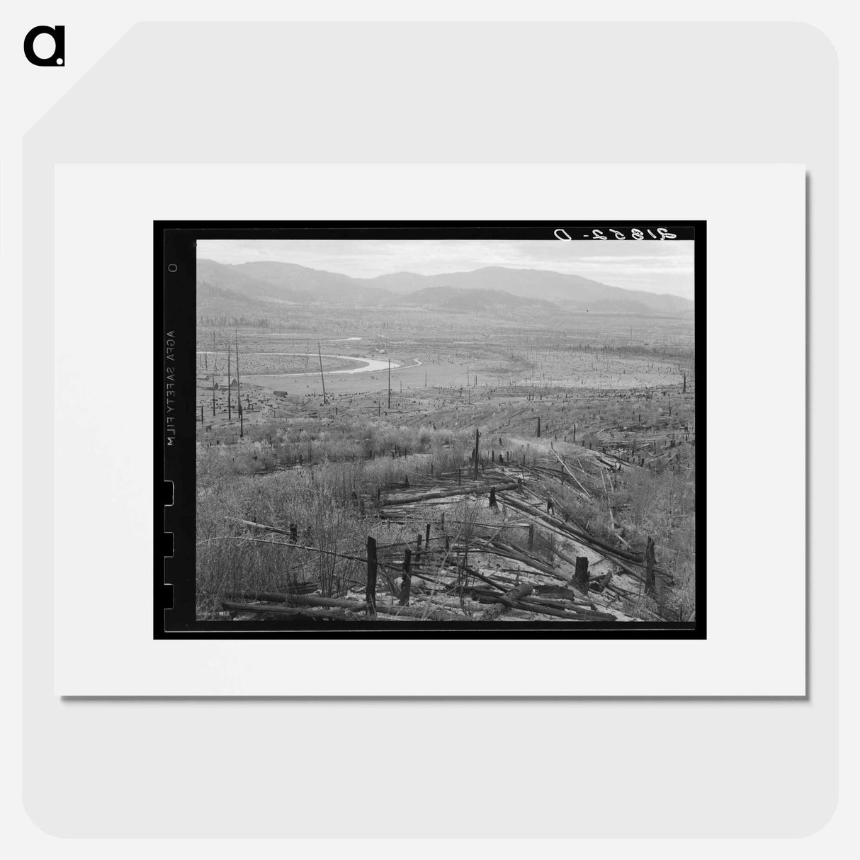 The Priest River runs through a stumpy valley where new farms are being established. - Dorothea Lange Poster.