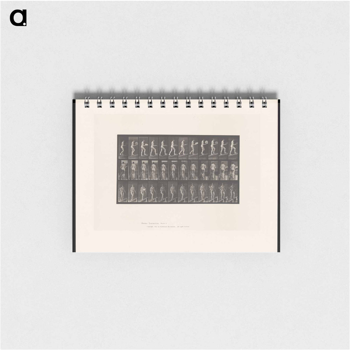 アートメモ帳-Nude Ascending
- エドワード マイブリッジ Memo.