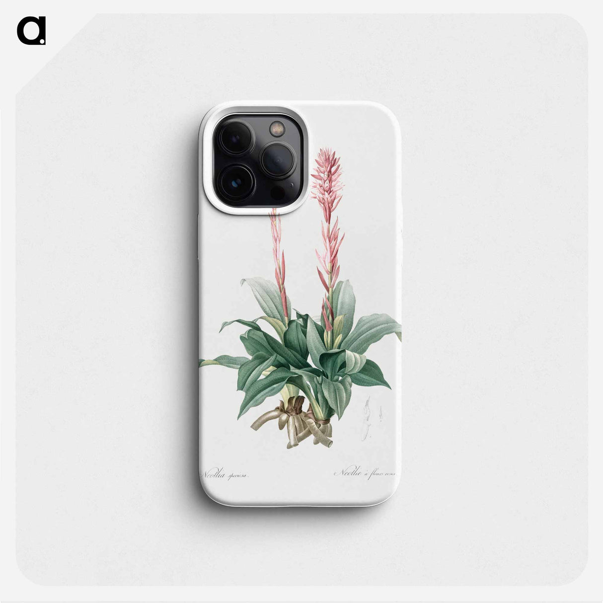 Latin American lady orchid illustration - Pierre Joseph Redouté Phone Case.