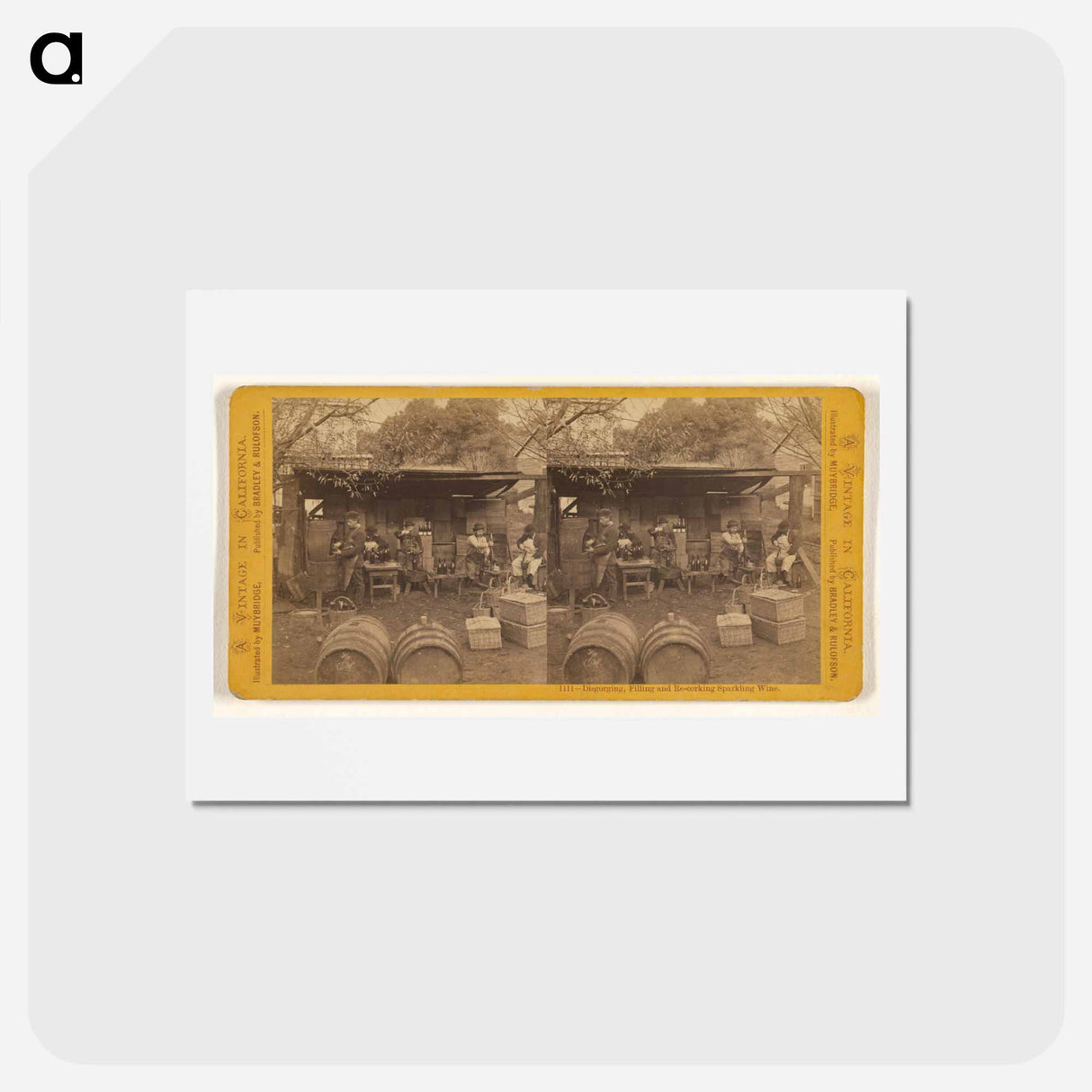 アートポストカード-Disgorging, Filling and Re-corking Sparkling Wine
- エドワード マイブリッジ Postcard.