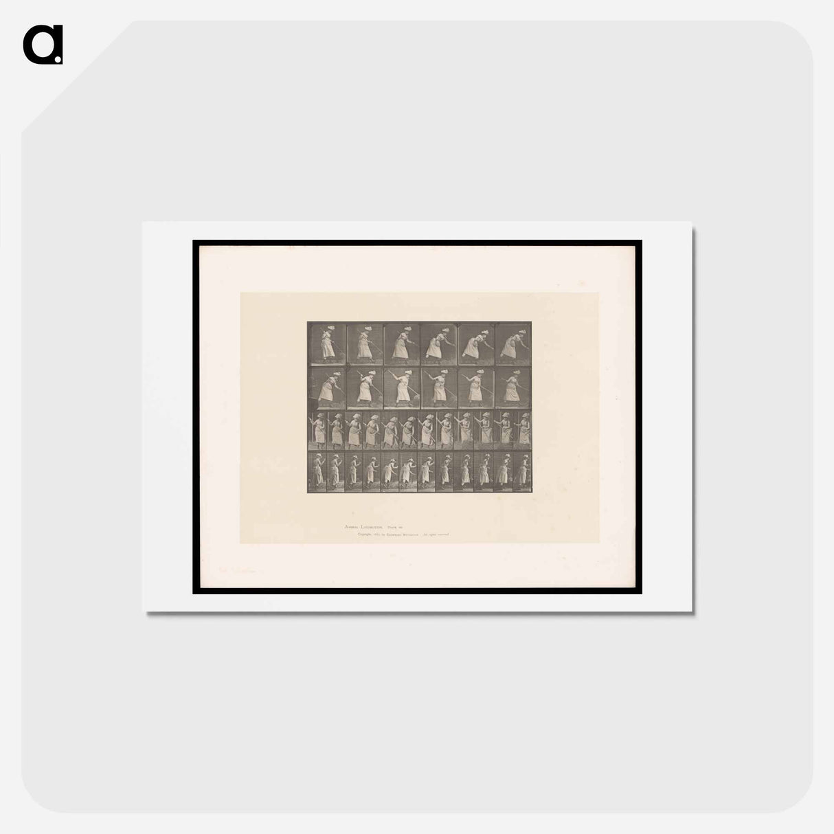 アートポストカード-Woman Raking Hay
- エドワード マイブリッジ Postcard.
