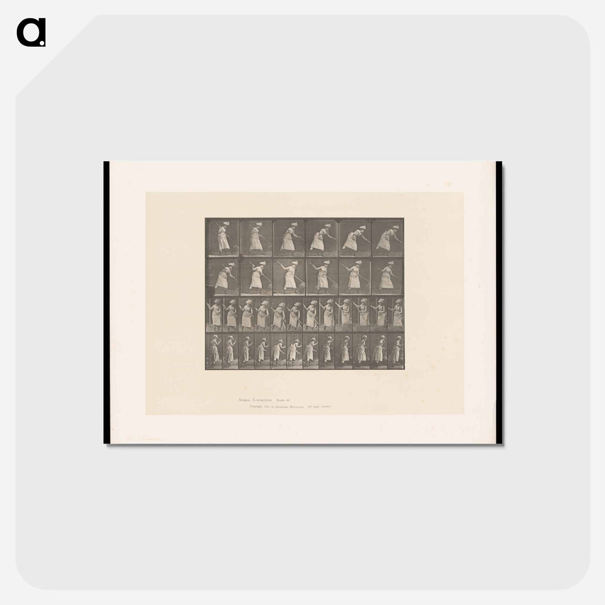 アートポストカード-Woman Raking Hay
- エドワード マイブリッジ Postcard.