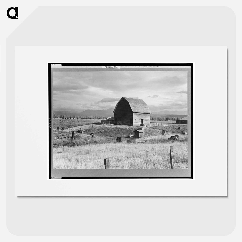 Type barn, characteristic of Idaho, on farm of older settlers. Boundary County, Idaho - Dorothea Lange Poster.
