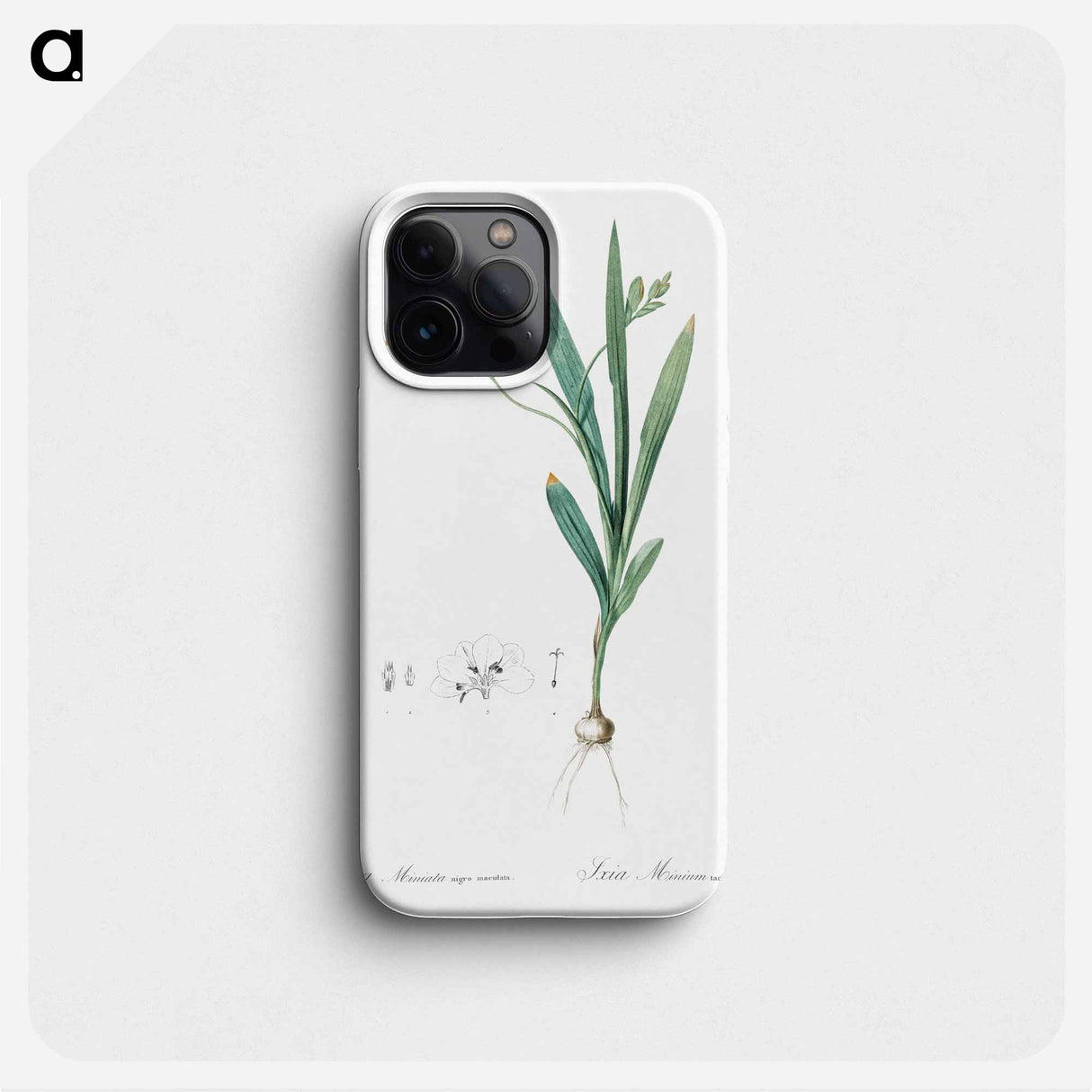 Ixia miniata illustration - Pierre Joseph Redouté Phone Case.