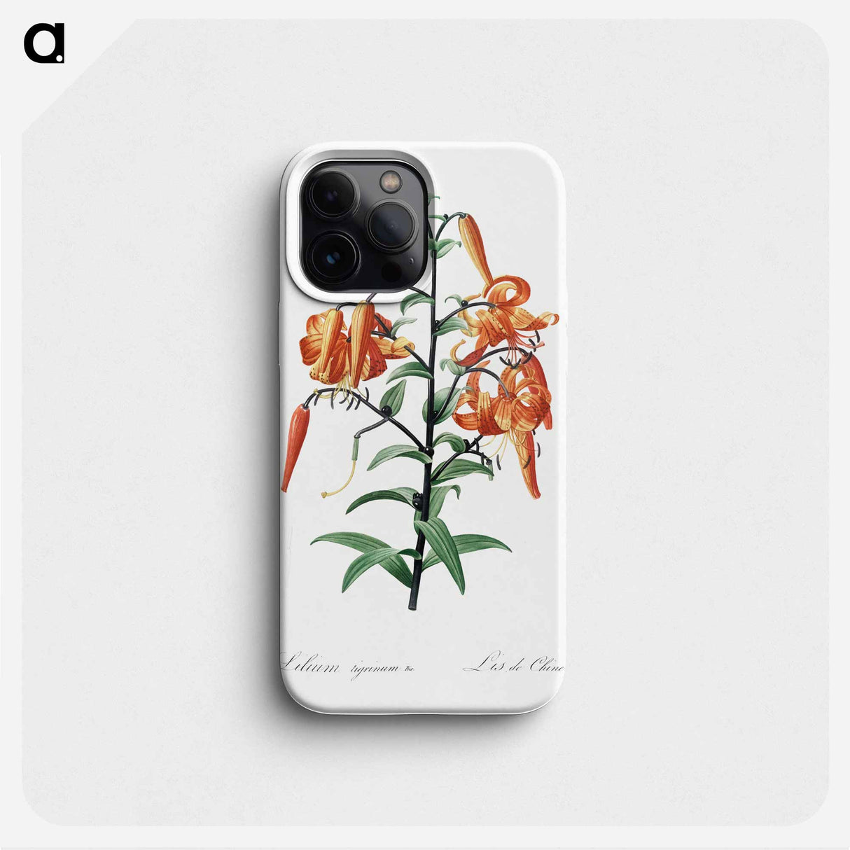 Tiger lily illustration - ピエール ジョゼフ ルドゥーテ Phone Case.