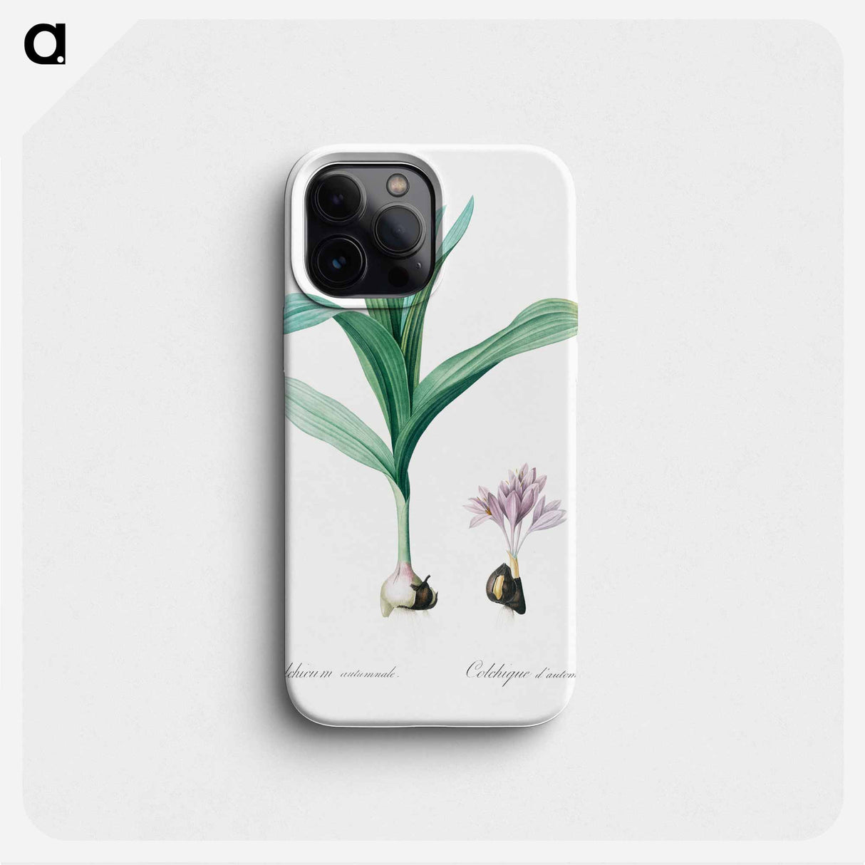 Autumn crocus illustration - ピエール ジョゼフ ルドゥーテ Phone Case.