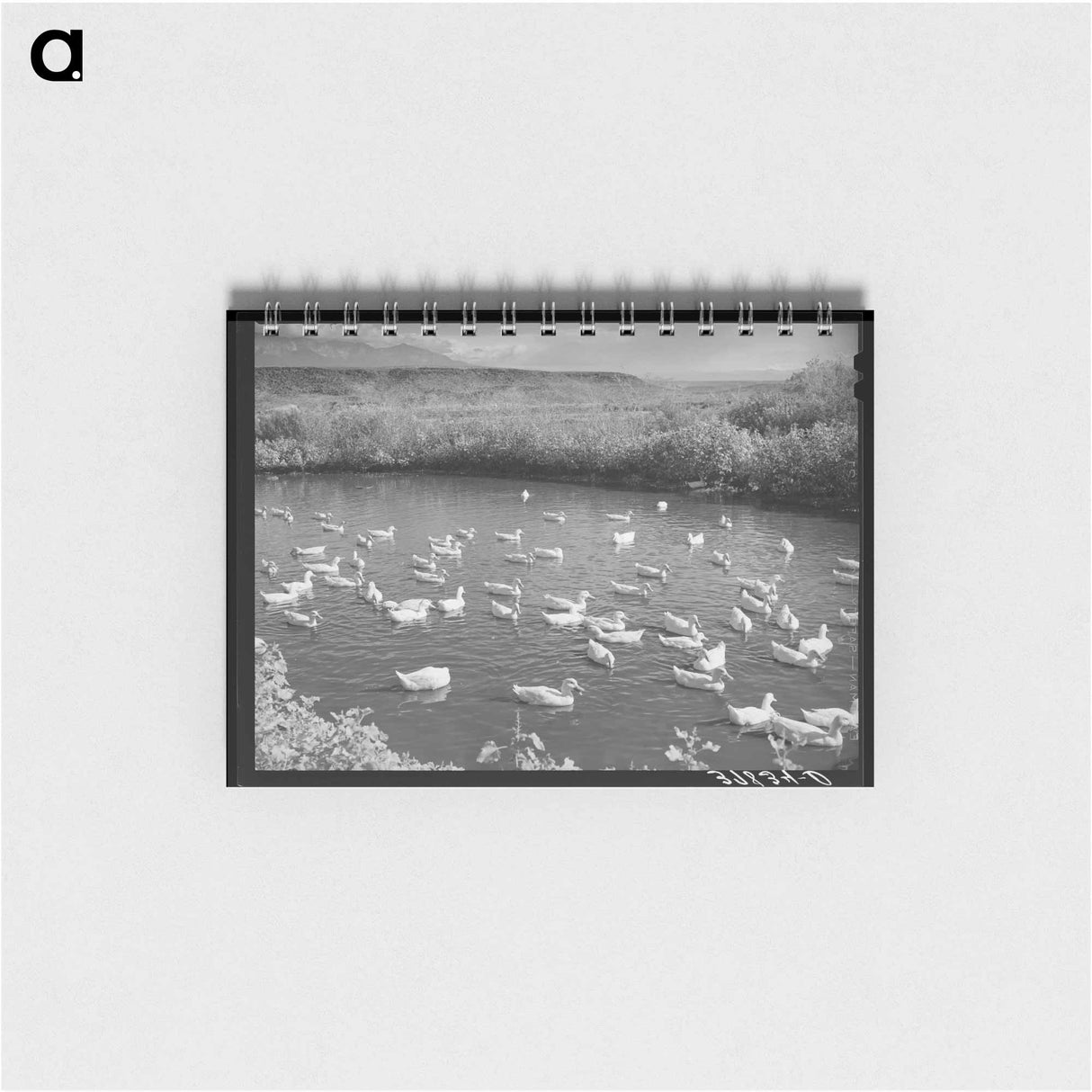 アートメモ帳-Bull's Head, Cruzen Ranch
- ラッセル リー Memo.
