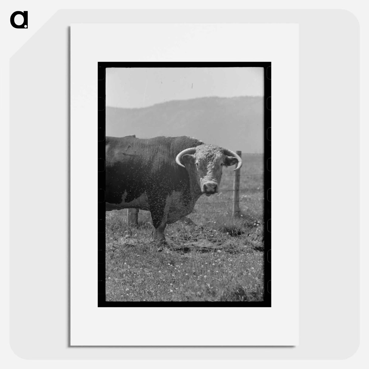 アートポスター-Bull's Head, Cruzen Ranch
- ラッセル リー Poster.