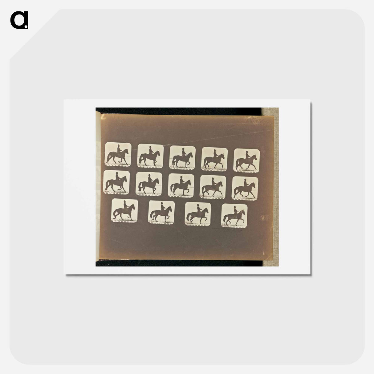 アートポストカード-Trotting
- エドワード マイブリッジ Postcard.