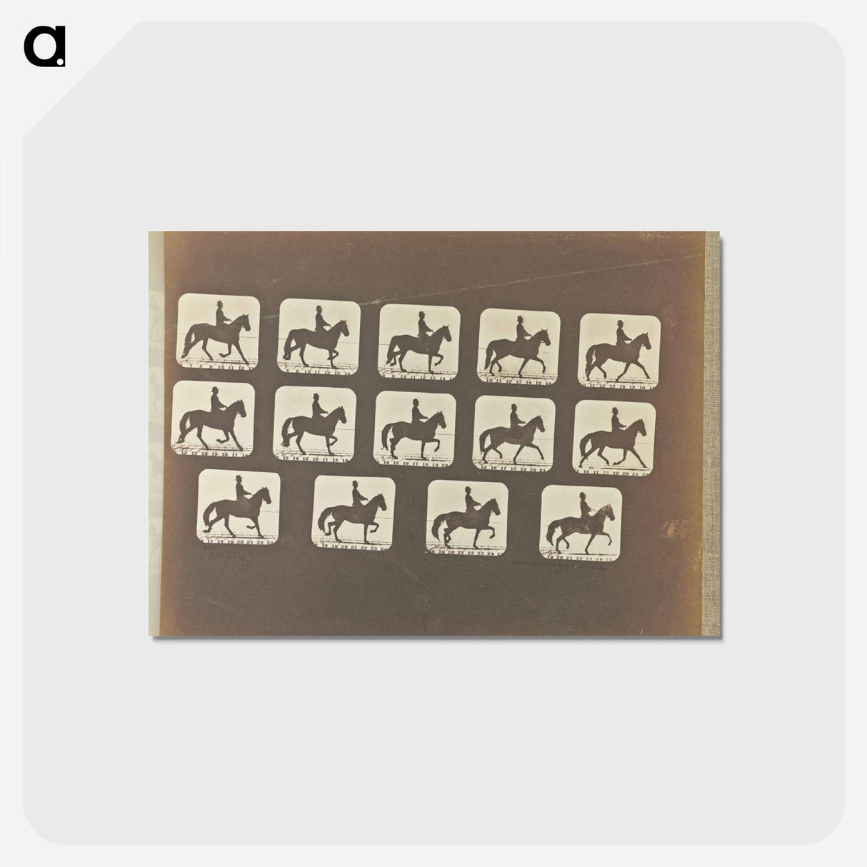 アートポストカード-Trotting
- エドワード マイブリッジ Postcard.