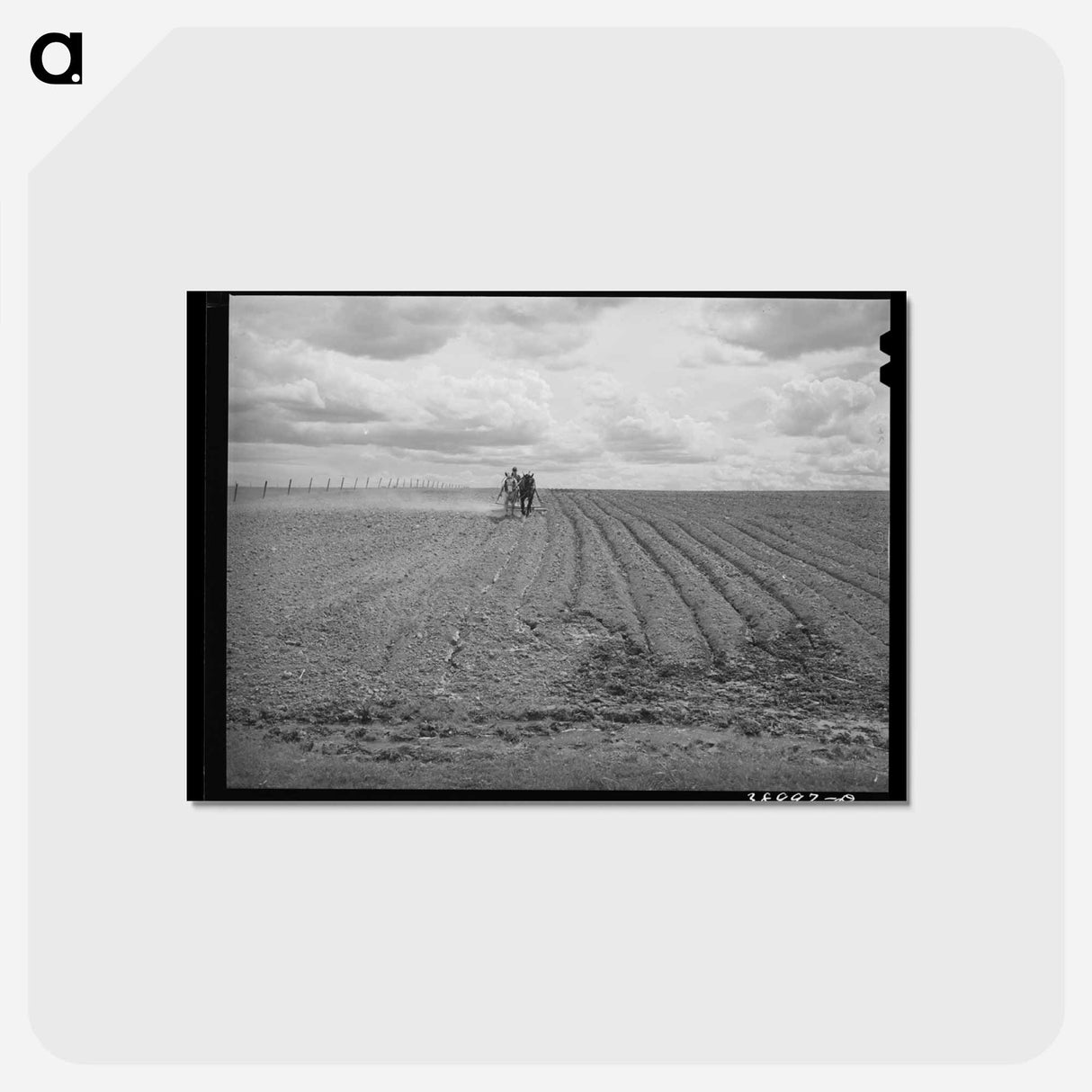 アートポストカード-Harrowing at Dead Ox Flat
- ラッセル リー Postcard.
