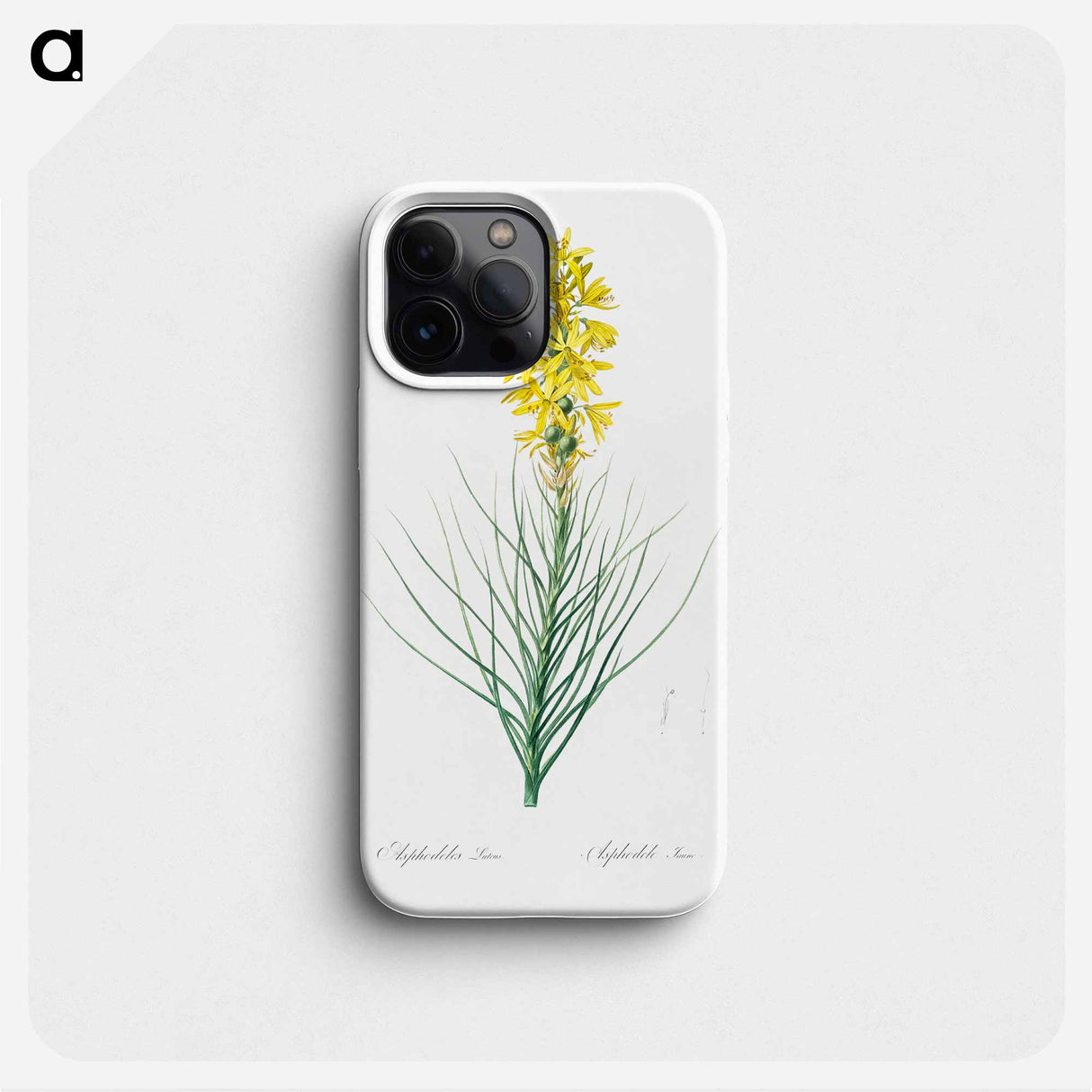 Yellow Asphodel - ピエール ジョゼフ ルドゥーテ Phone Case.