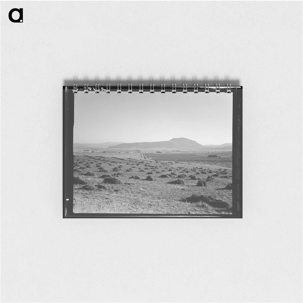 Sunset Valley - ドロテア ラング Memo.