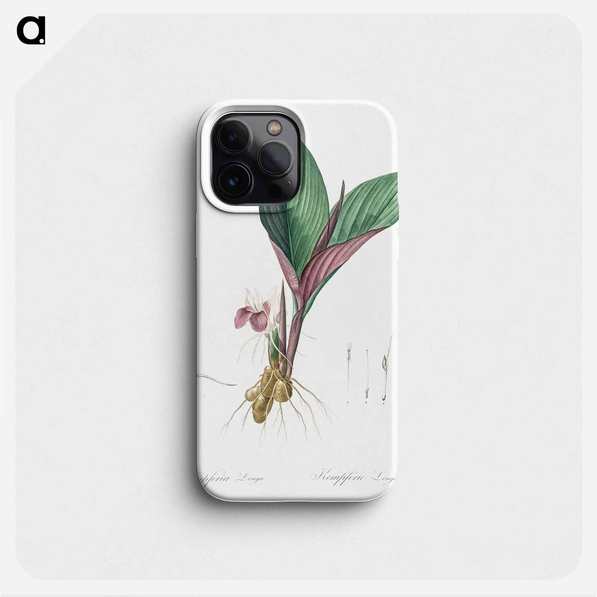 Koemferia longa illustration - Pierre Joseph Redouté Phone Case.