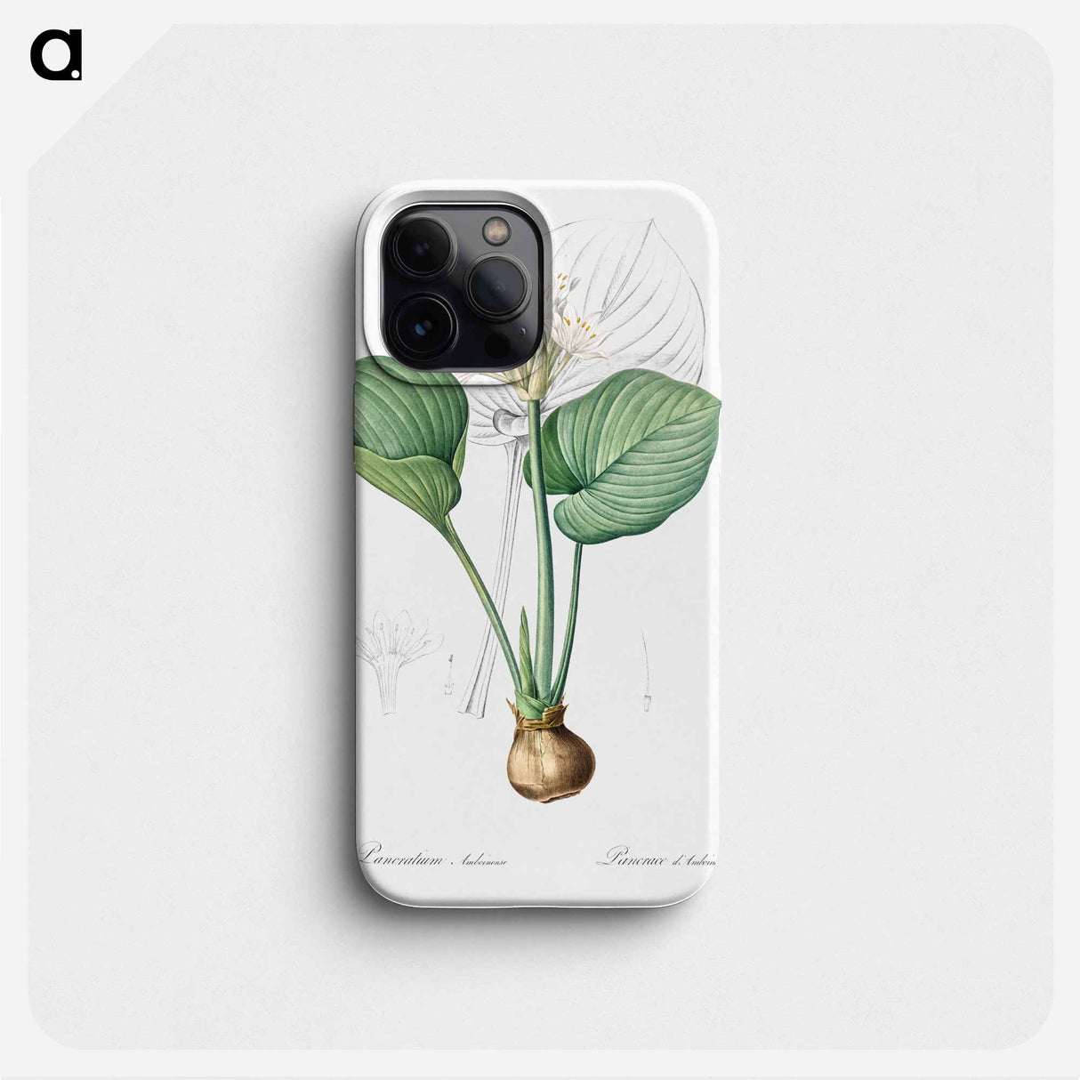 Cardwell lily illustration - ピエール ジョゼフ ルドゥーテ Phone Case.