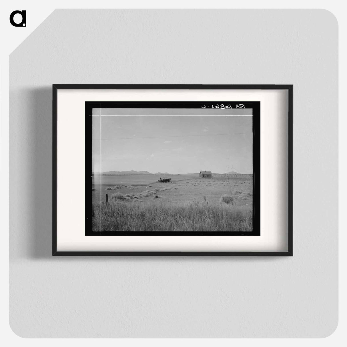 アートポスター-Abandoned tenant house and large-scale wheat field near Kincaid, Texas - ドロテア ラング Poster.
