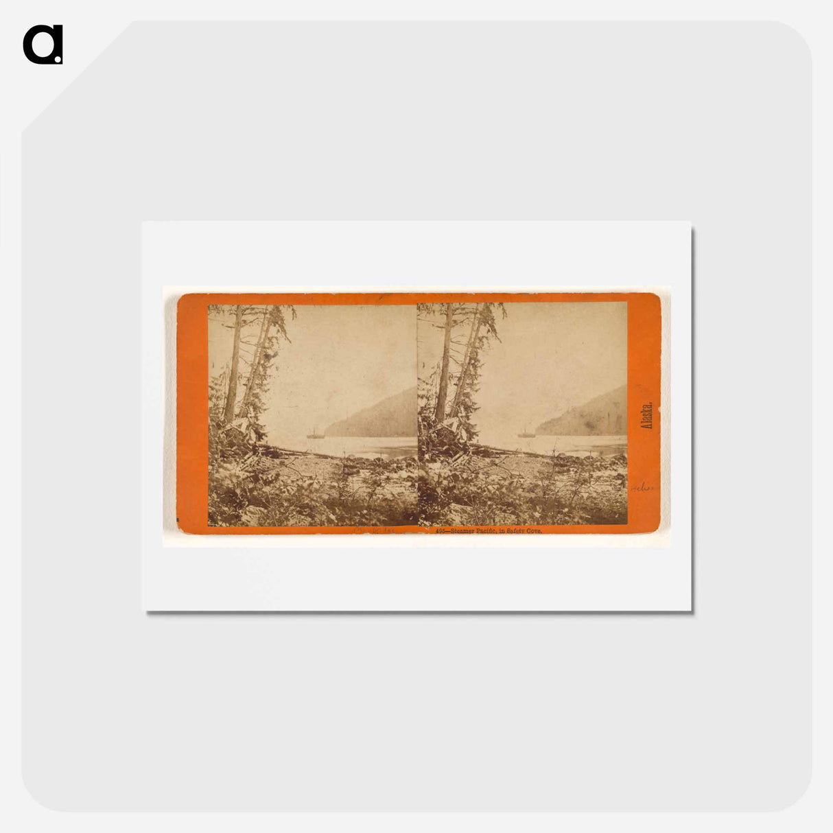 アートポストカード-Steamer Pacific, in Safety Cove
- エドワード マイブリッジ Postcard.