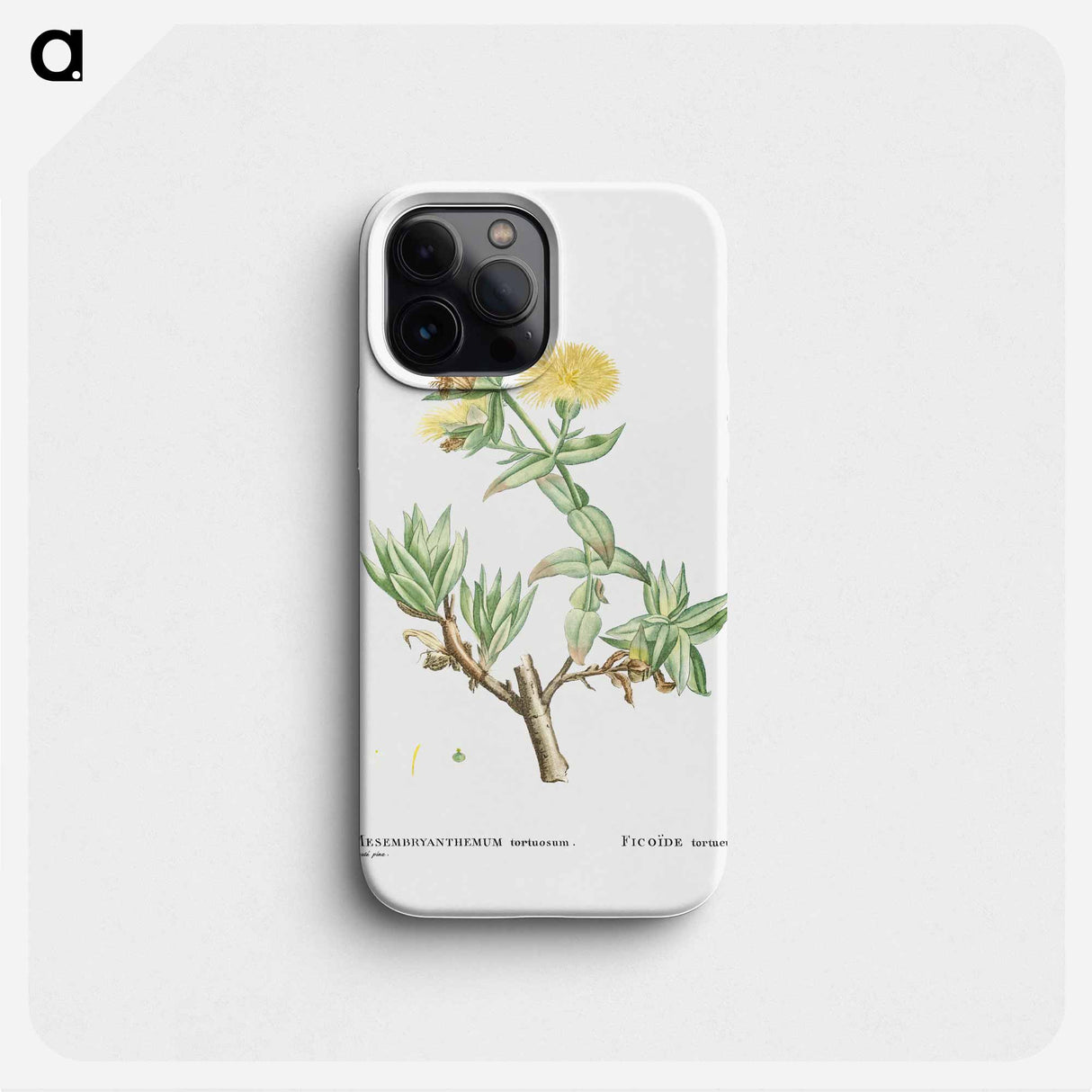 Mesembryanthemum Tortuosum (Kanna) - Pierre Joseph Redouté Phone Case.