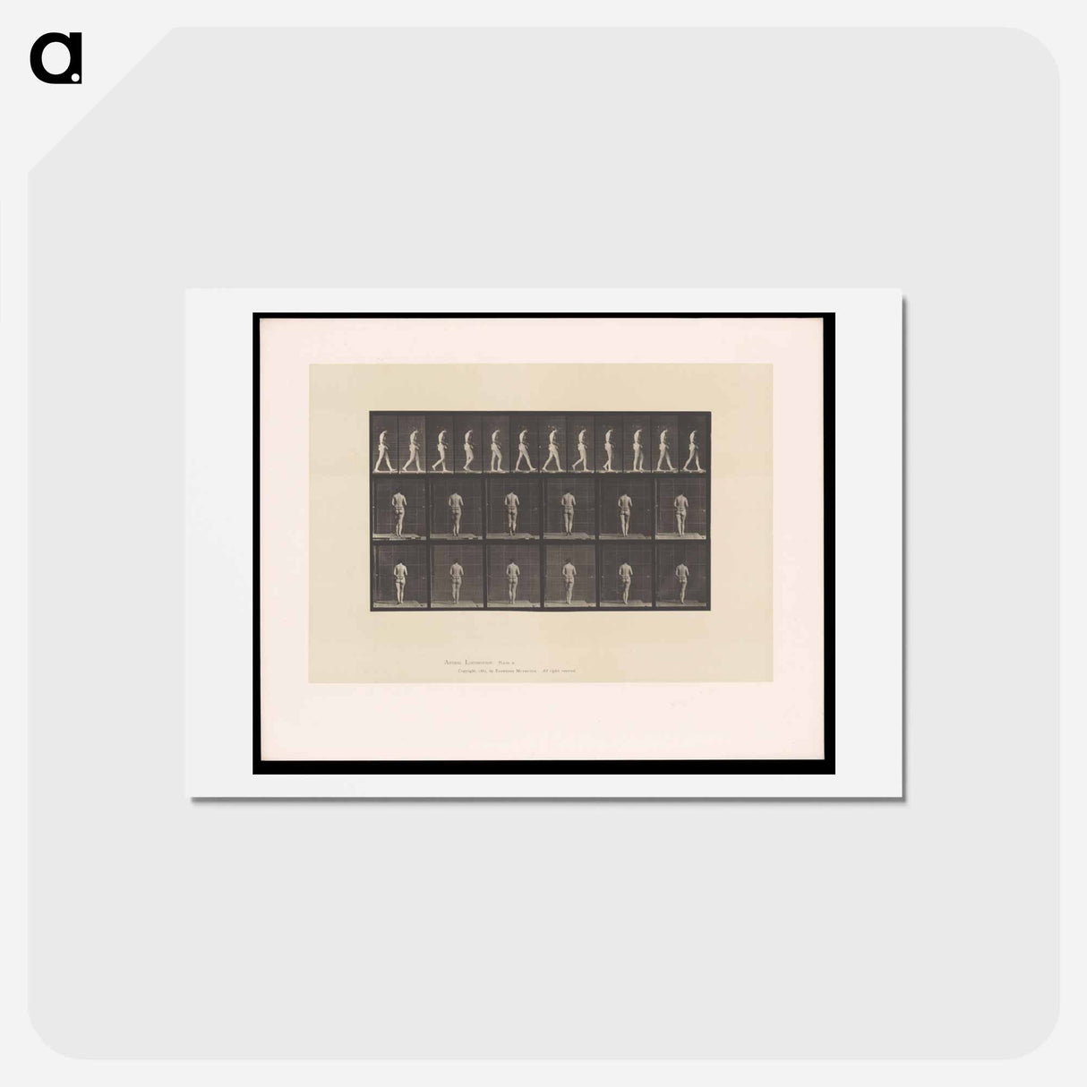 アートポストカード-Woman with Back Brace
- エドワード マイブリッジ Postcard.