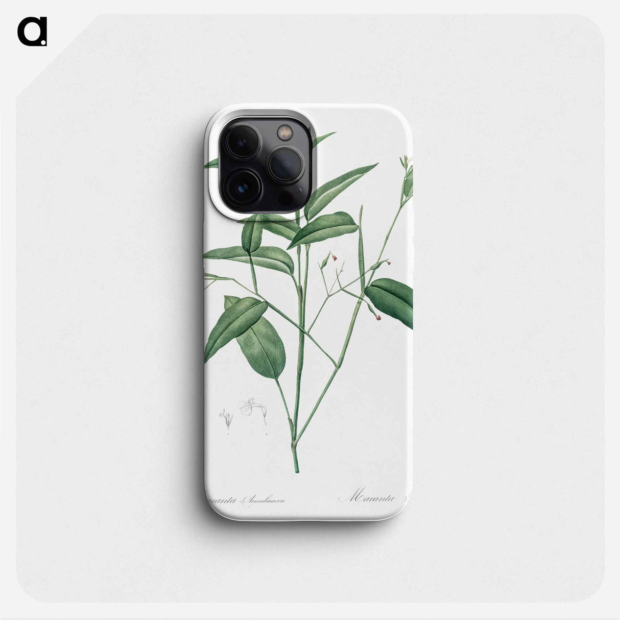 Maranta arundinacea illustration - ピエール ジョゼフ ルドゥーテ Phone Case.