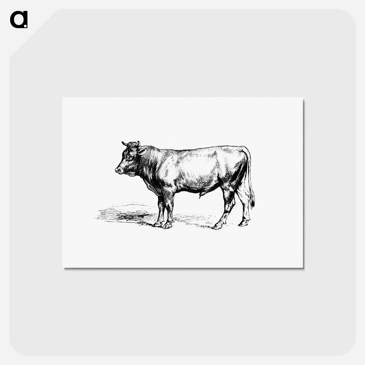 アートポストカード-Cow from The Austro-Hungarian Monarchy In Speech And Image
- 大英図書館 Postcard.