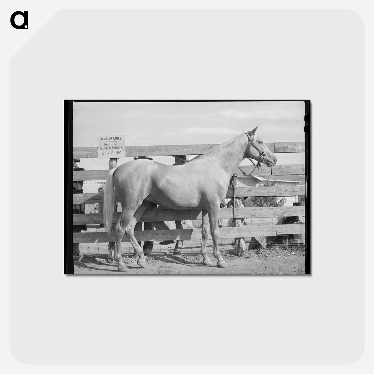 アートポストカード-Palomino Mare at Auction
- ラッセル リー Postcard.