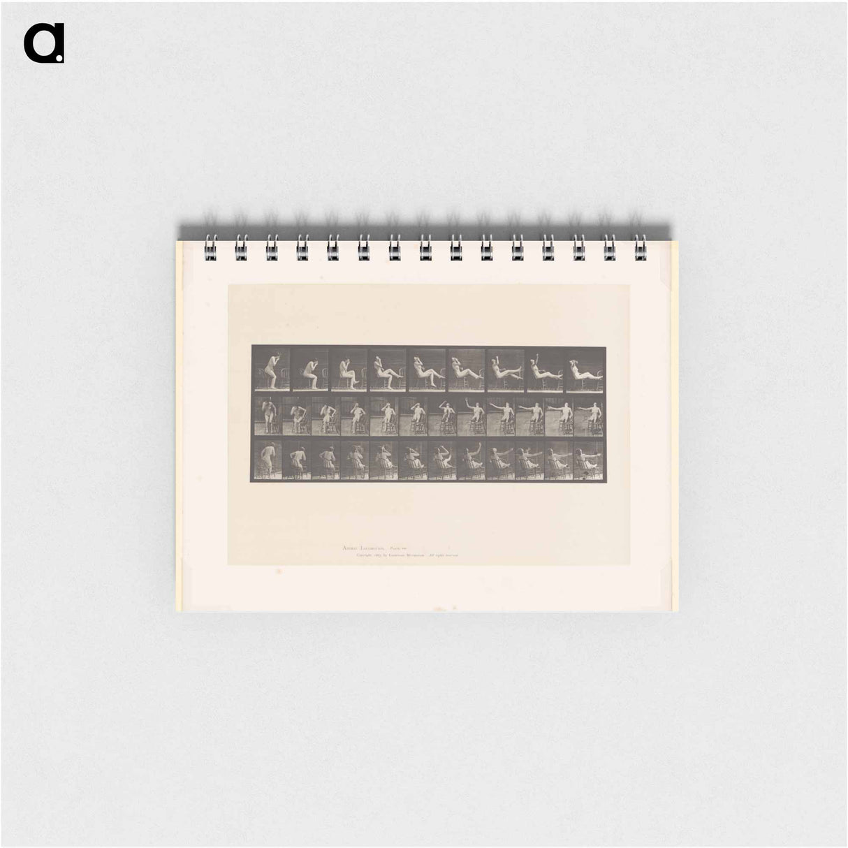 アートメモ帳-Smoking Woman
- エドワード マイブリッジ Memo.