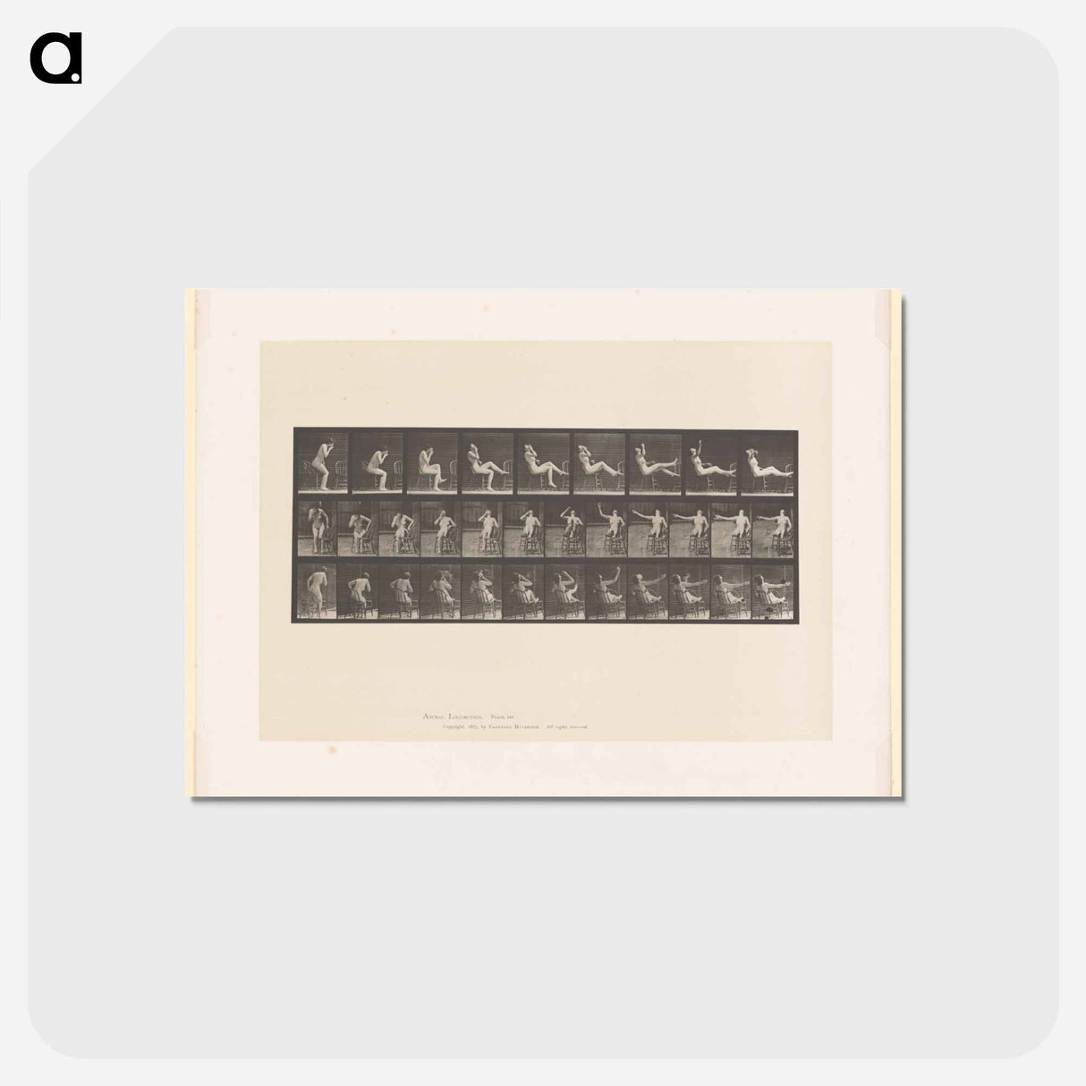 アートポストカード-Smoking Woman
- エドワード マイブリッジ Postcard.