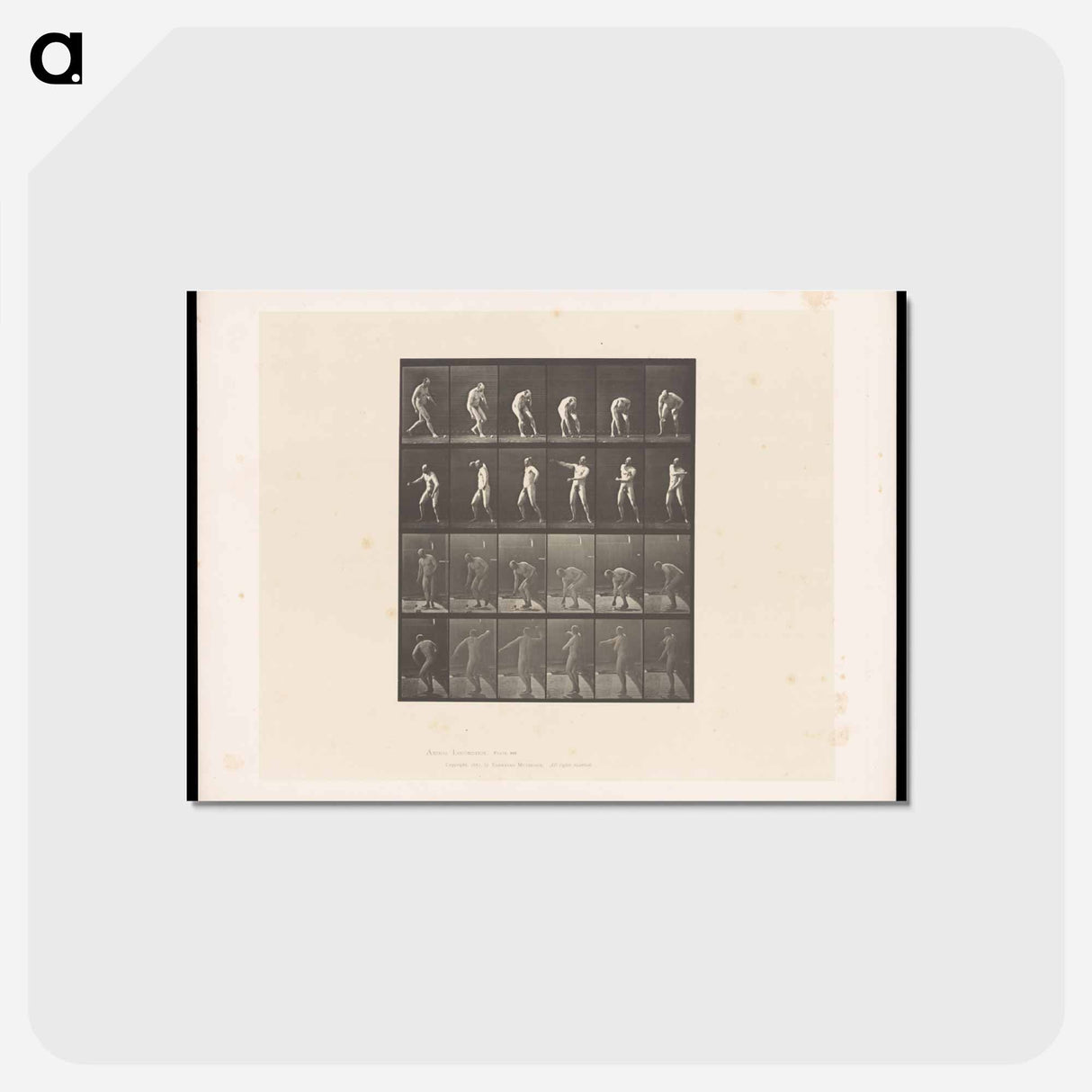 アートポストカード-The Throw
- エドワード マイブリッジ Postcard.