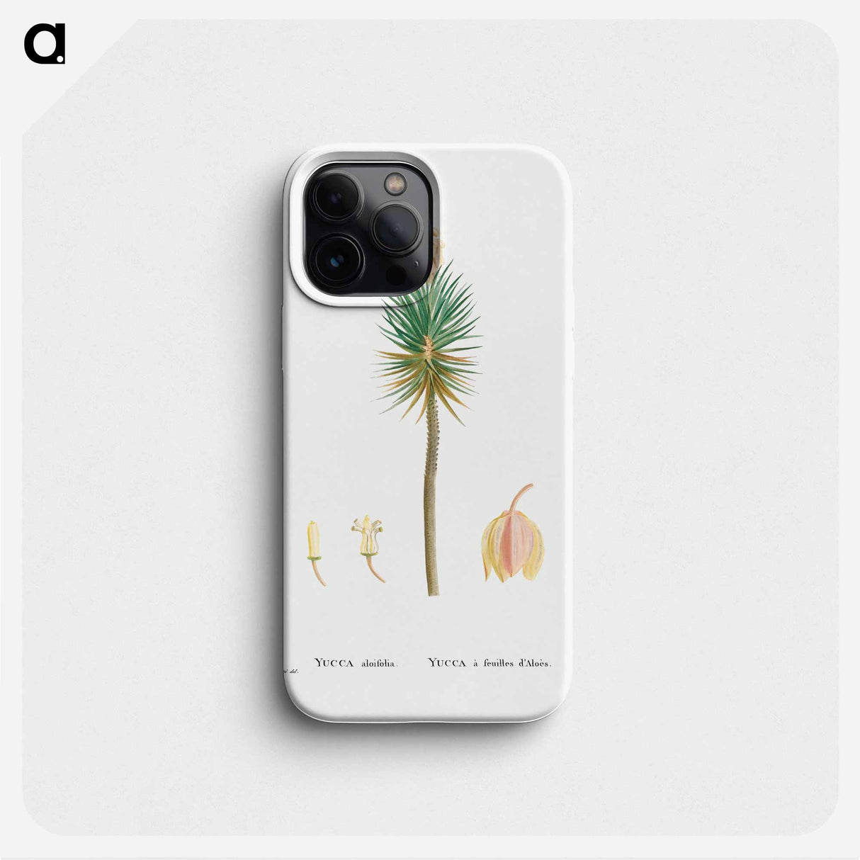 Yucca aloifolia (Aloe Yucca) - ピエール ジョゼフ ルドゥーテ Phone Case.