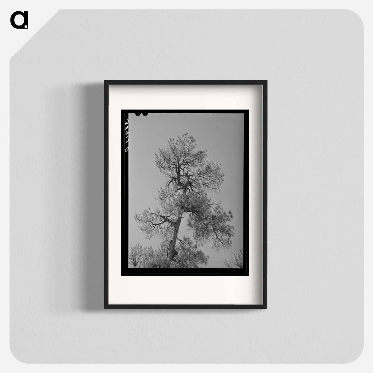 アートポスター-Apache Pine Top
- ラッセル リー Poster.