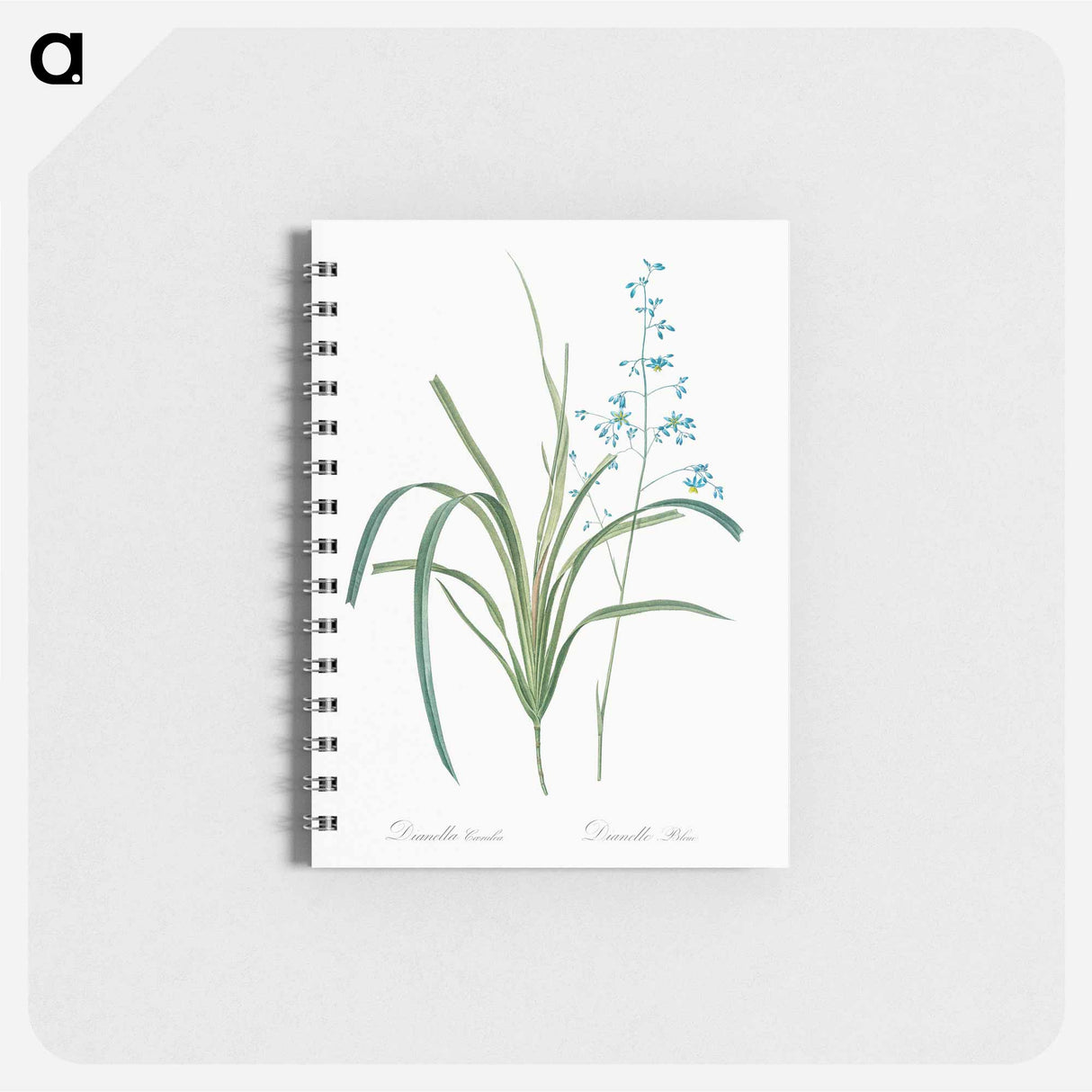 アートメモ帳-Blueberry lily illustration - ピエール ジョゼフ ルドゥーテ Memo.
