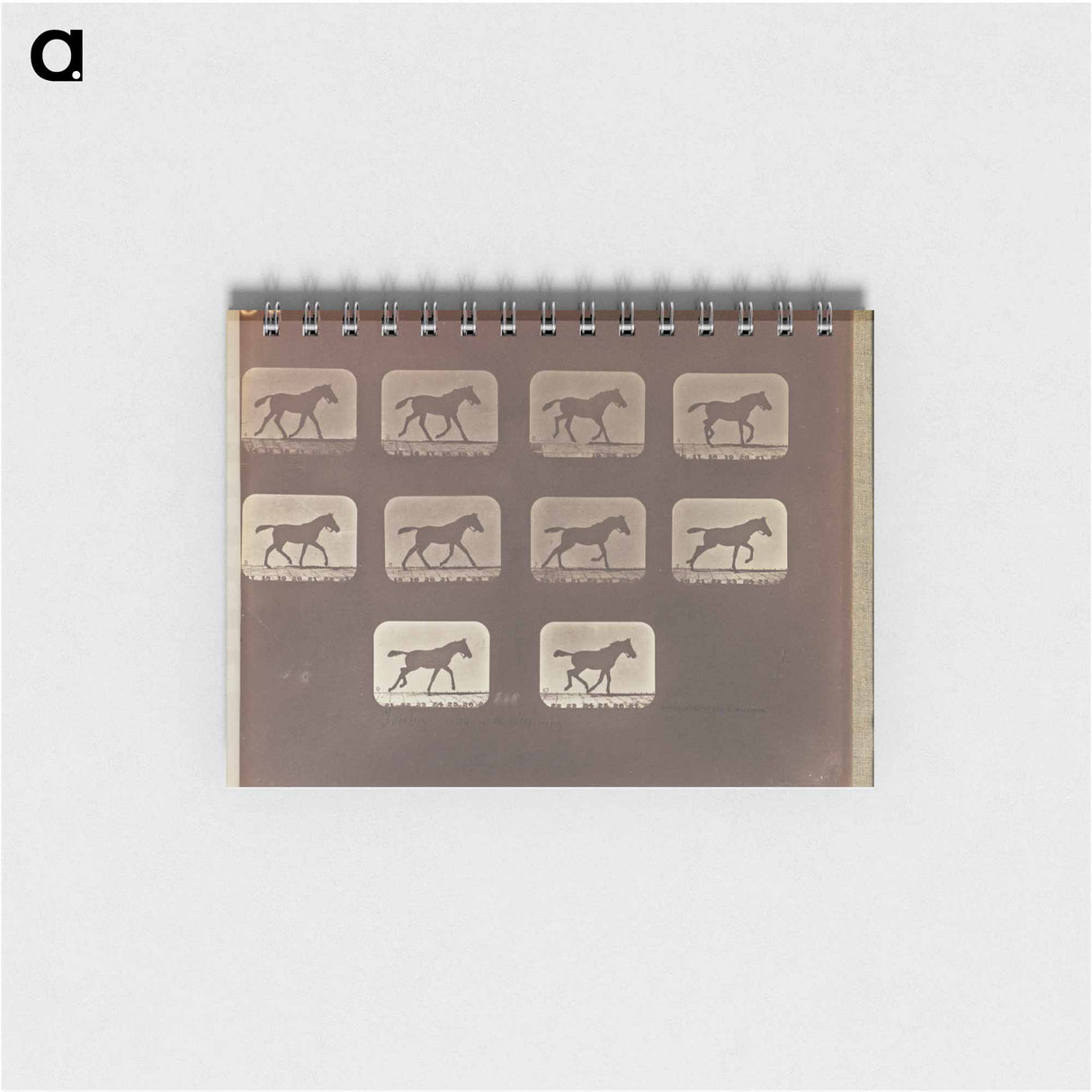 アートメモ帳-Trotting - Change to Running
- エドワード マイブリッジ Memo.