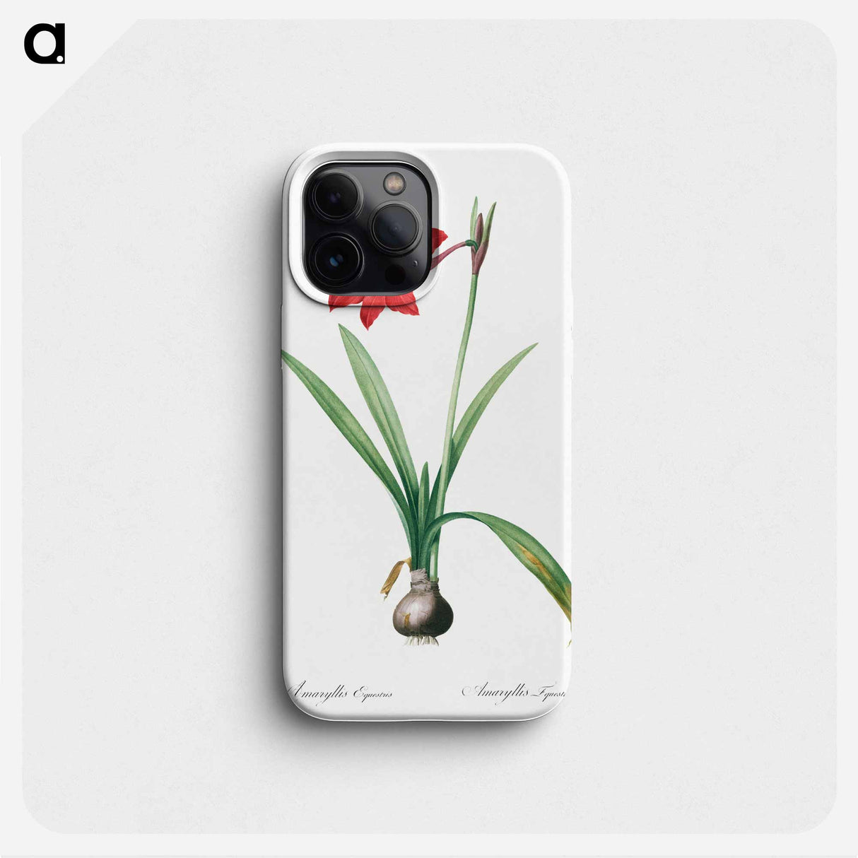 Hippeastrum - ピエール ジョゼフ ルドゥーテ Phone Case.