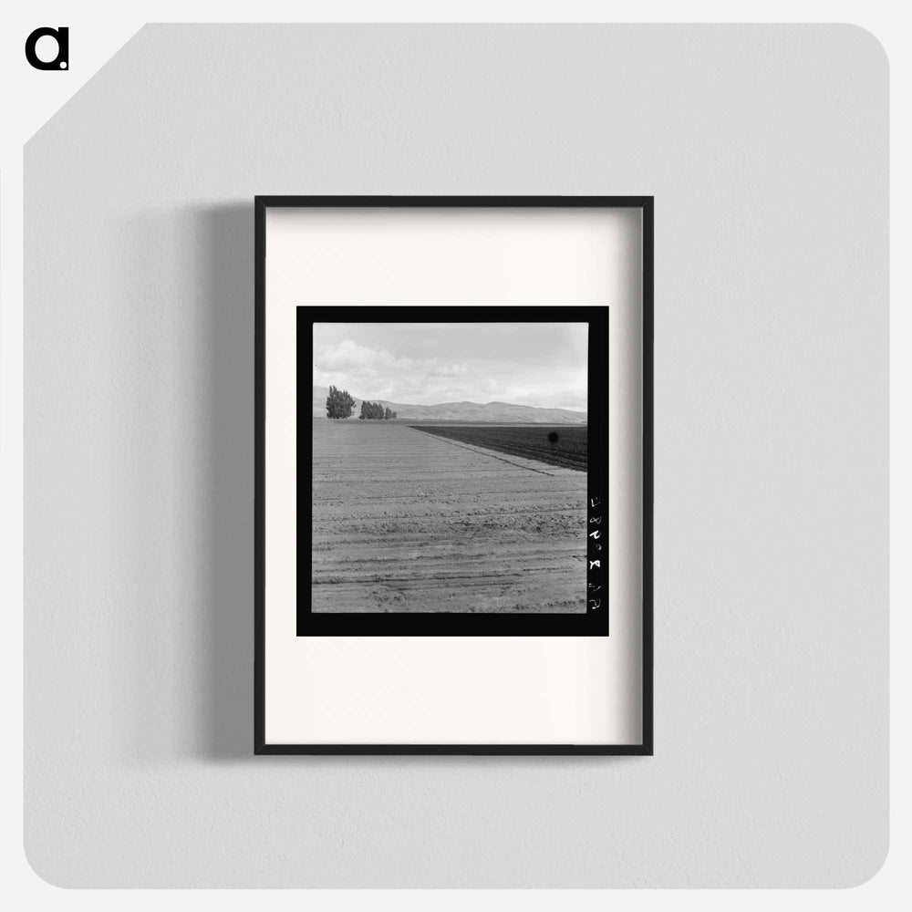 Freshly-plowed sugar beet field near King City - Dorothea Lange Poster.