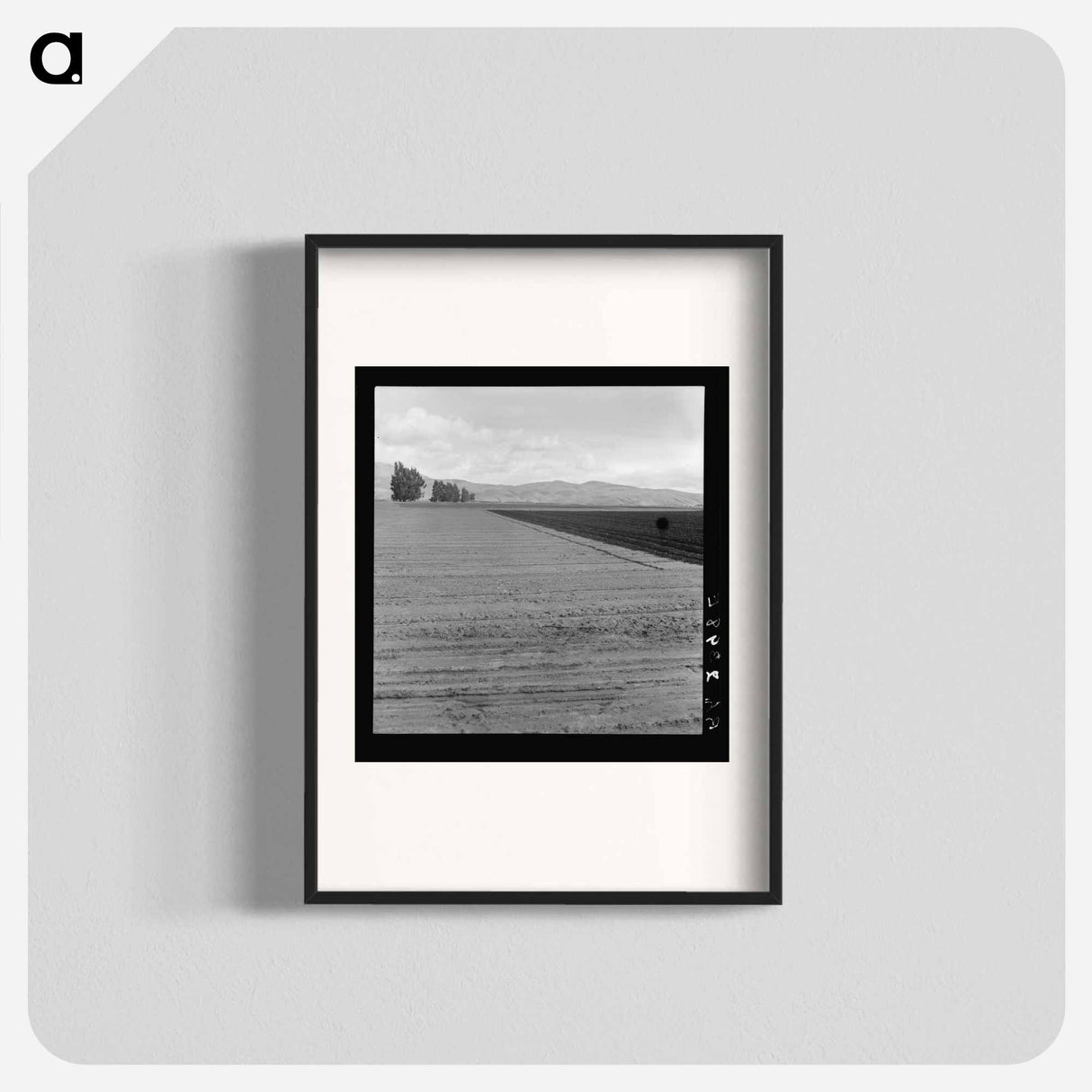Freshly-plowed sugar beet field near King City - Dorothea Lange Poster.