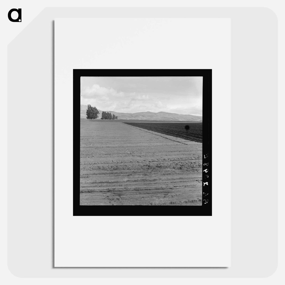 Freshly-plowed sugar beet field near King City - Dorothea Lange Poster.