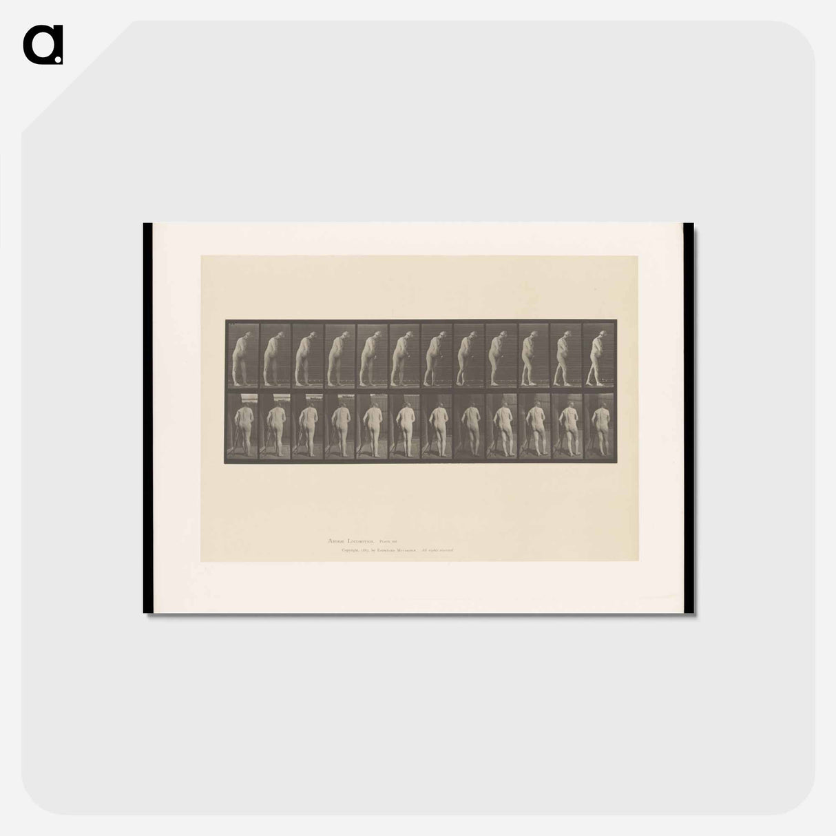 アートポストカード-Hemiplegic Man with Crutch
- エドワード マイブリッジ Postcard.