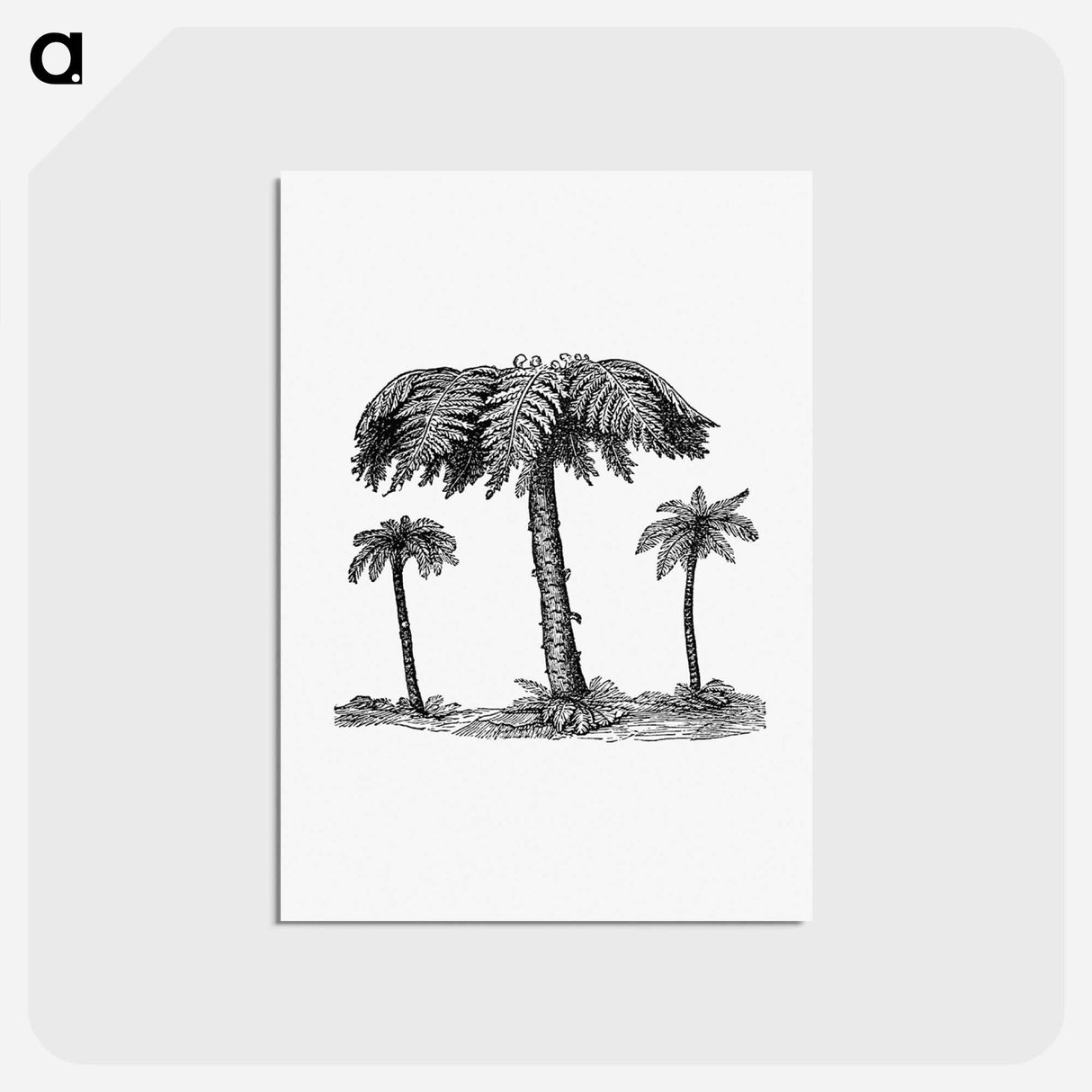 アートポストカード-Fern from Elementary Geology
- 大英図書館 Postcard.