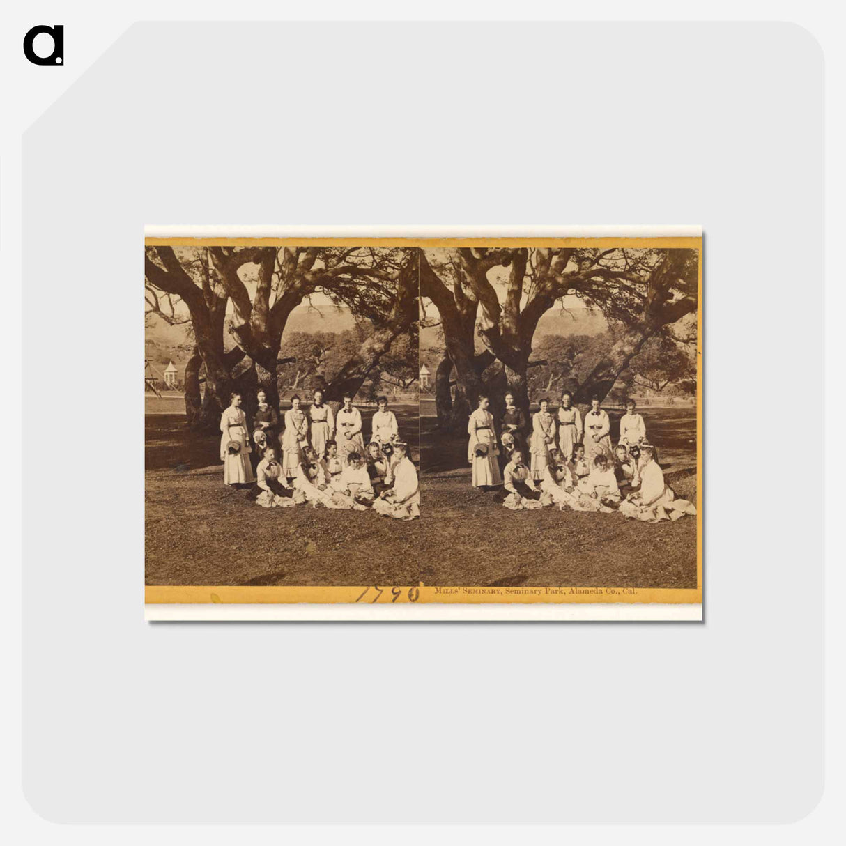 アートポストカード-Mills' Seminary Park
- エドワード マイブリッジ Postcard.